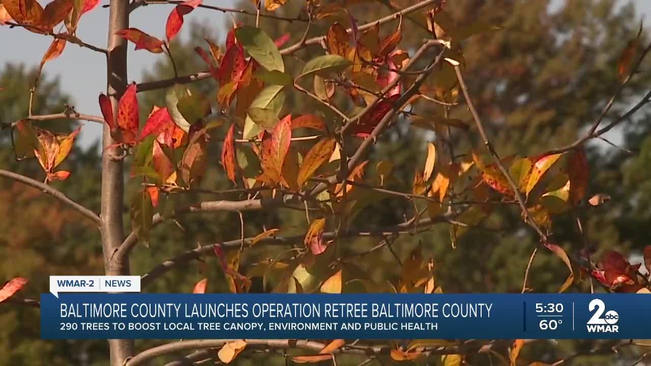 Operation retree Baltimore County