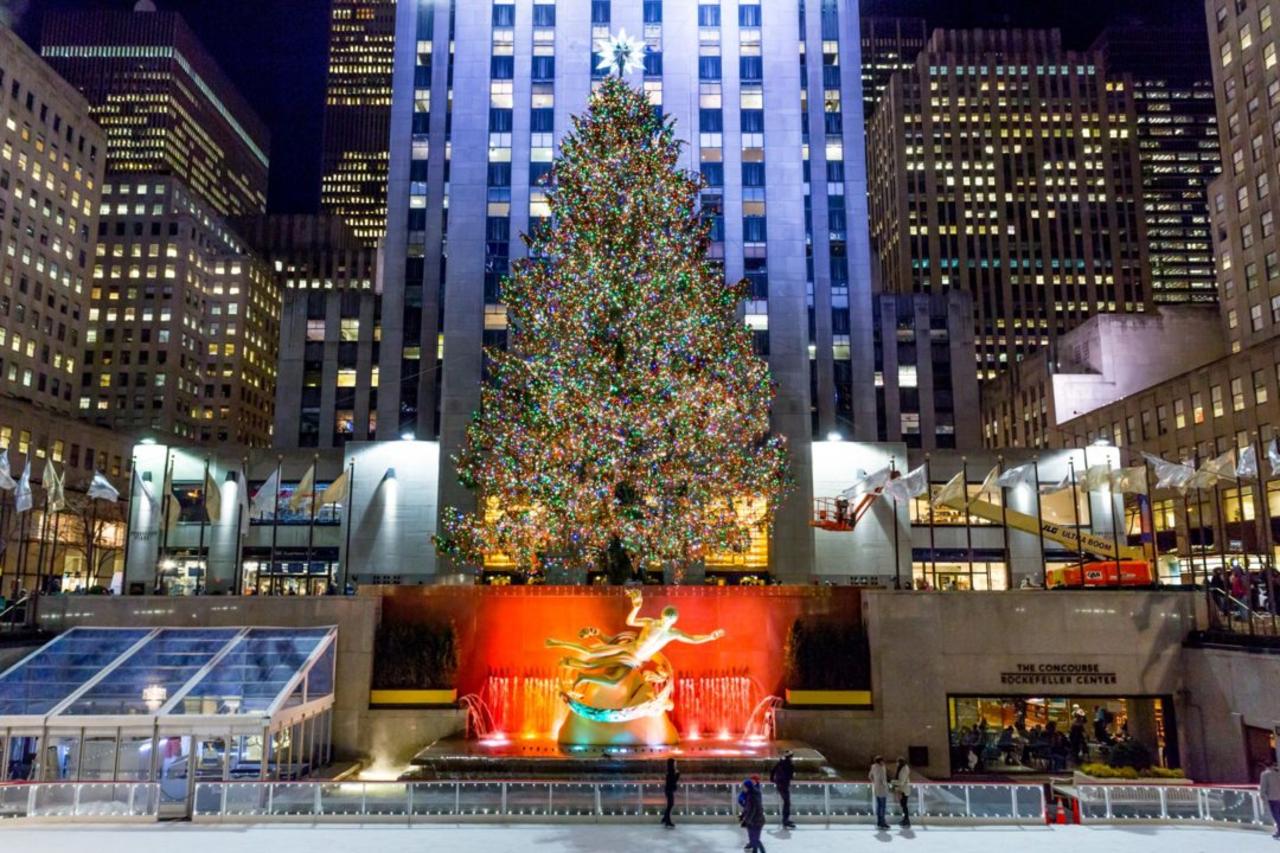 This Year's Rockefeller Center Christmas Tree Is a 79-Foot Norway Spruce from Maryland