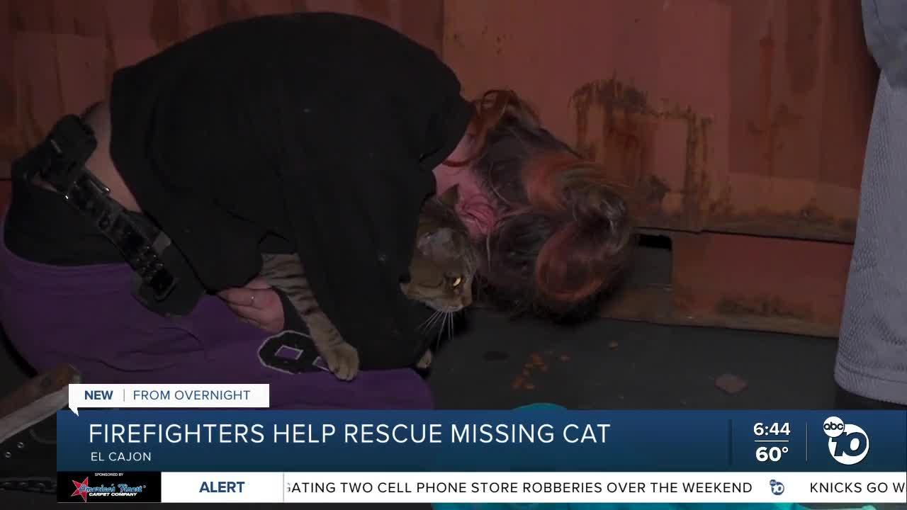 Missing cat rescued by firefighters, reunited with family