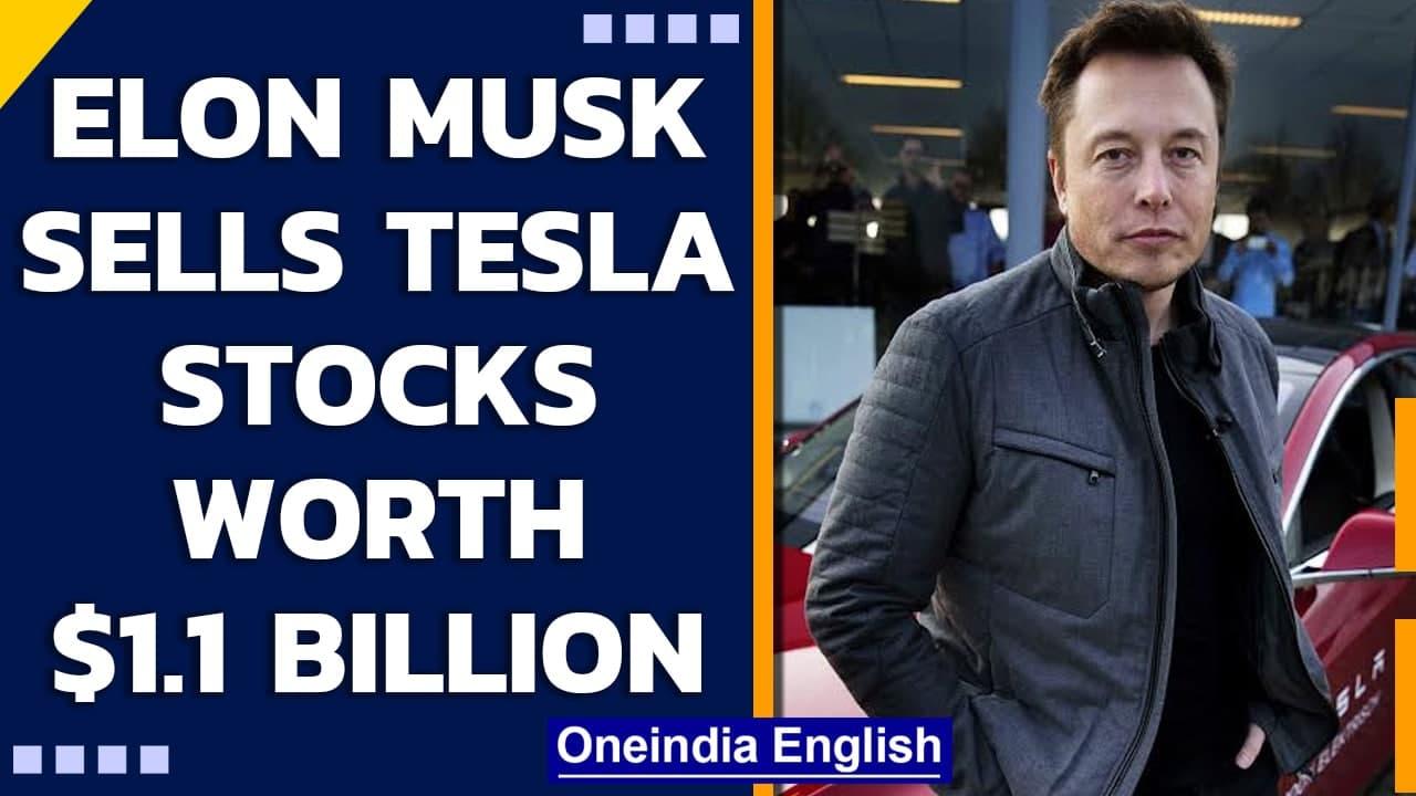 Elon Musk sells Tesla stocks worth $1.1 billion after Twitter poll| Oneindia News
