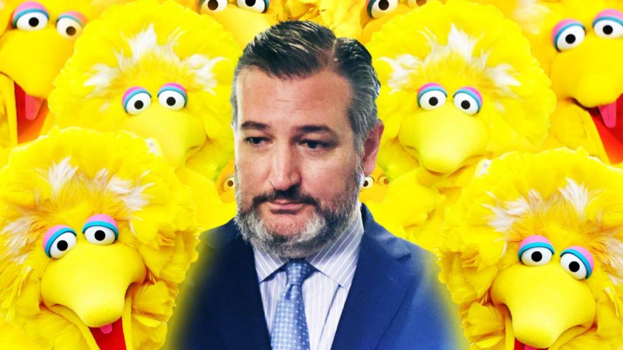 Ted Cruz found the real vaccine enemy: Big Bird