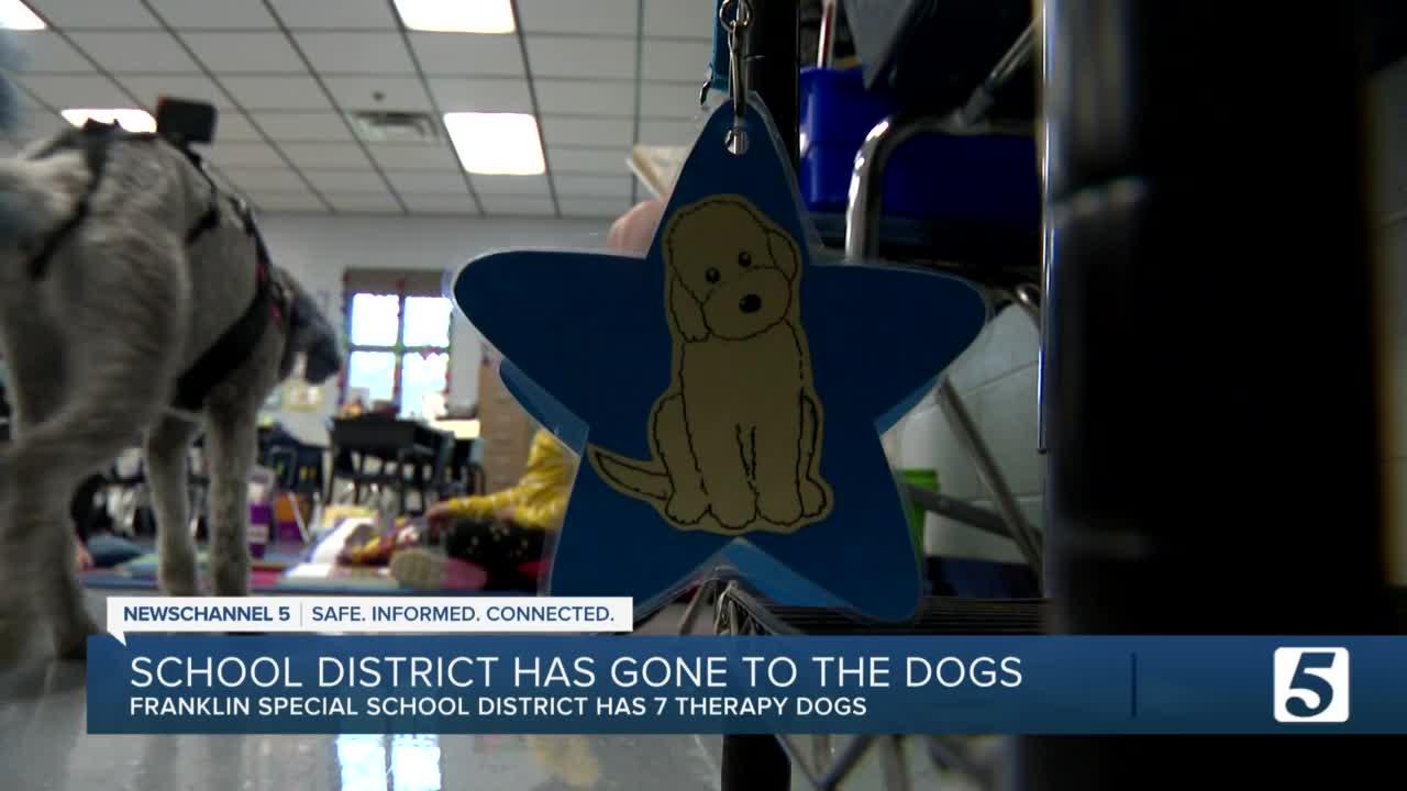 Troop of seven therapy dogs making a positive impact in Franklin Special School District