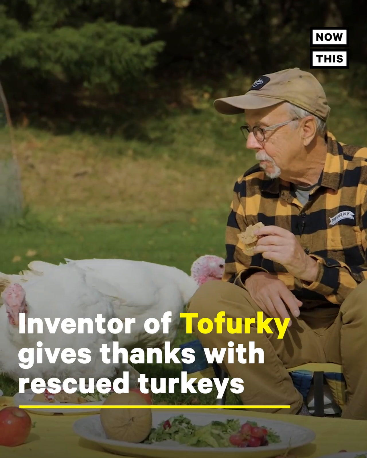 Tofurky Founder Reflects on Vegetarian Thanksgivings