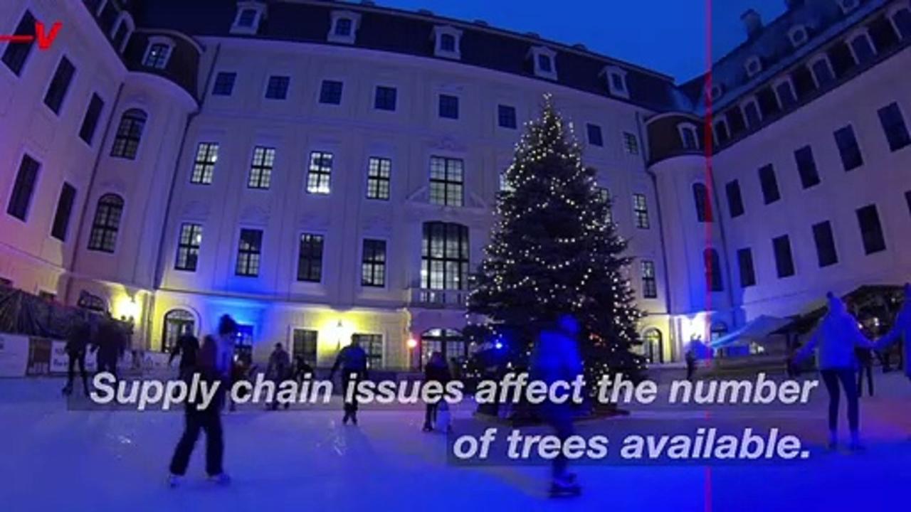 You May Be Paying 30% More For Your Christmas Tree This Year