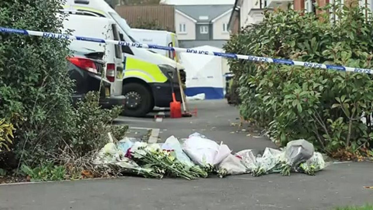 Murder of Somerset couple 'a shock', says neighbour