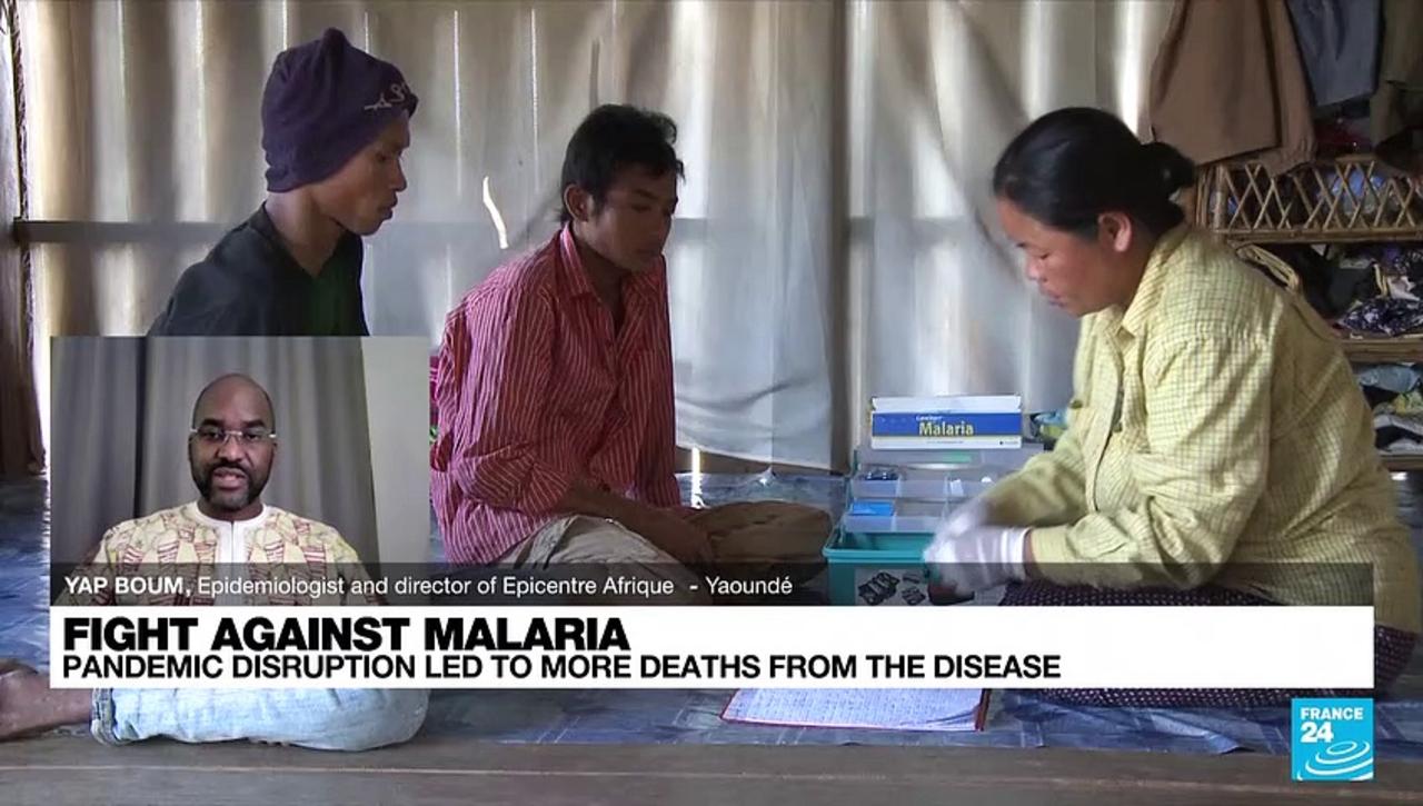 Fight against malaria: 'The vaccine completes the olders tools of prevention'