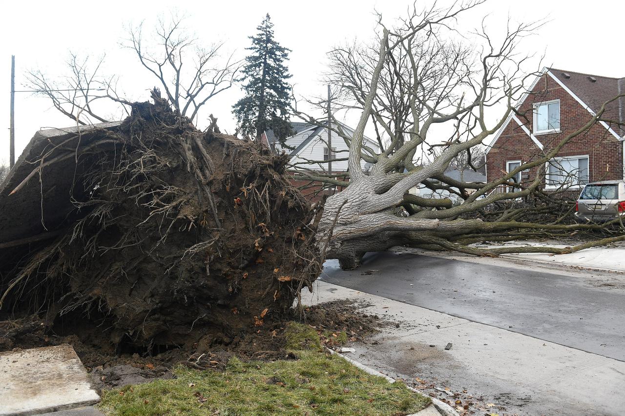 Over 500K Left Without Power After Record-Breaking Winds Hit the Central US