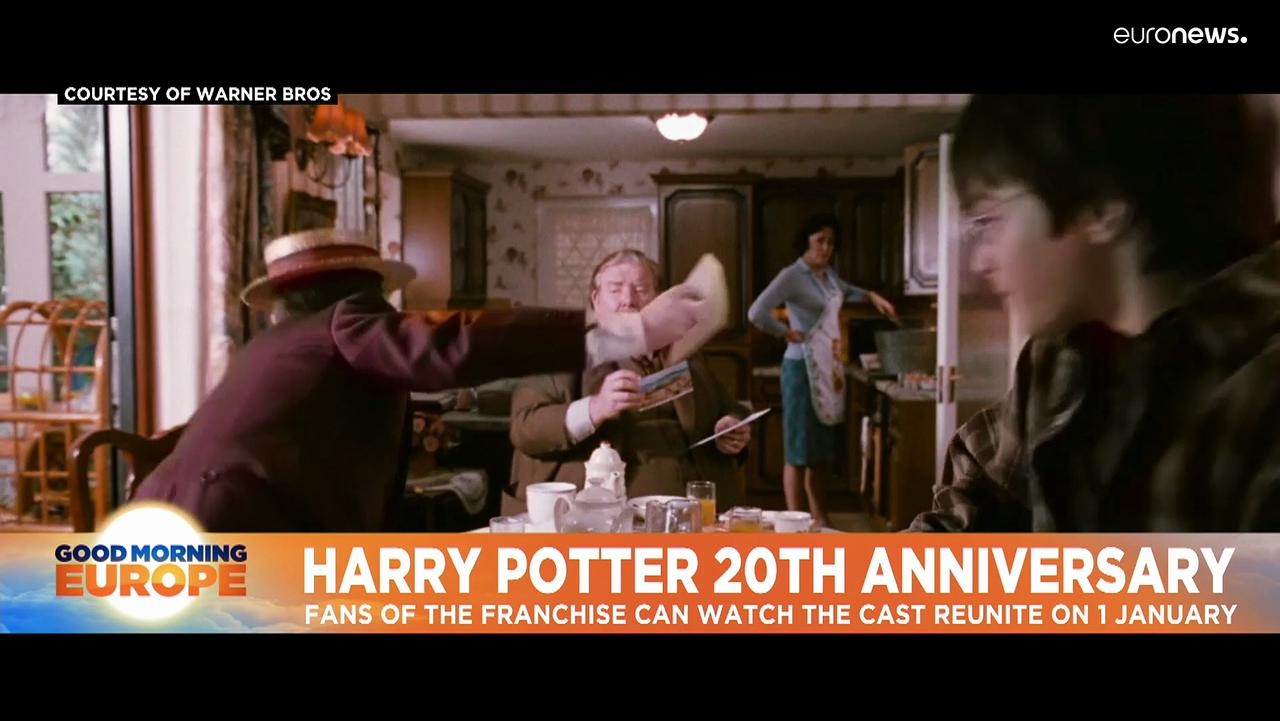 Harry Potter cast back on screens for franchise's 20th anniversary