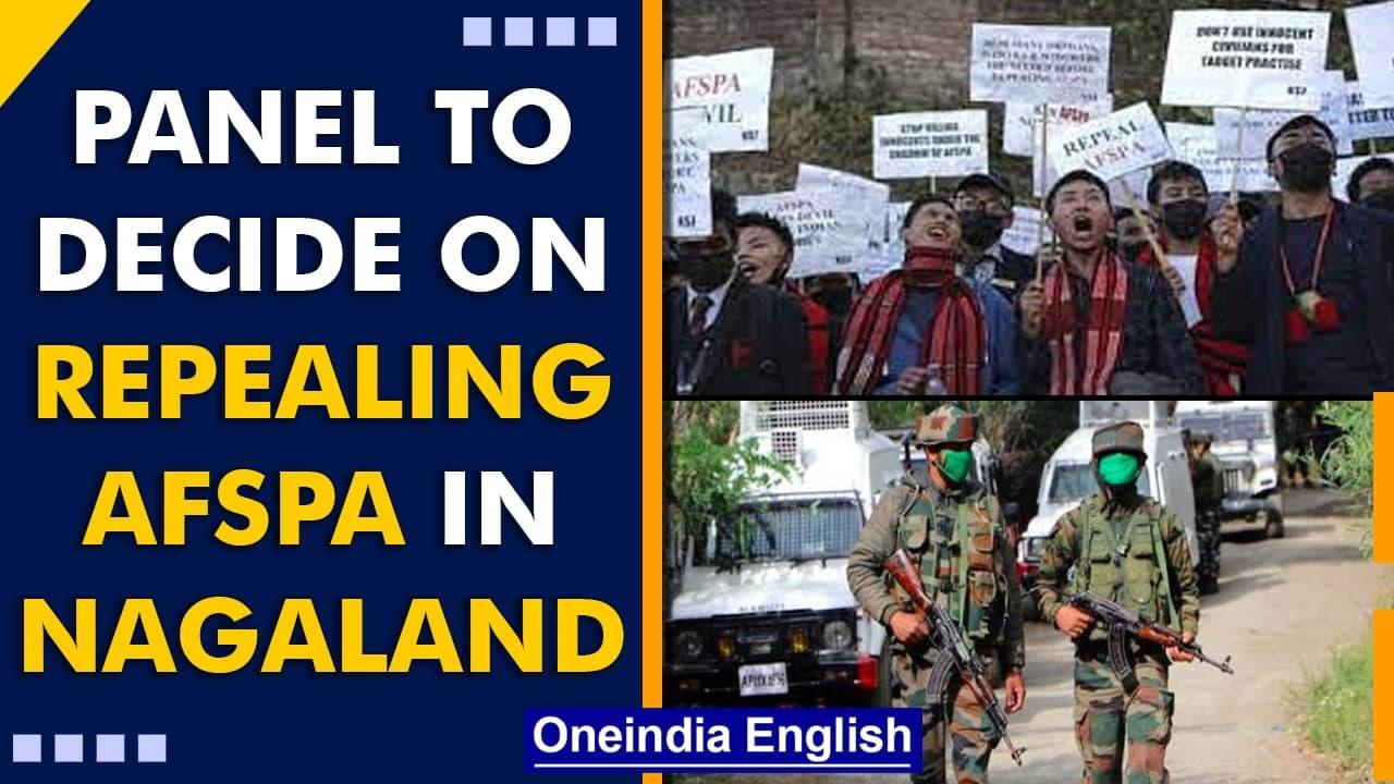 Panel to look into withdrawal of AFSPA, says Nagaland CM Neiphiu Rio | Amit Shah | Oneindia News