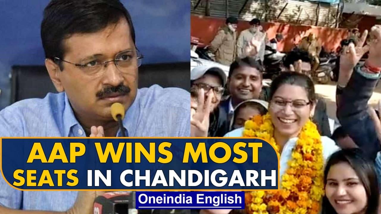 Chandigarh civic polls: AAP wins 14 seats out of 35, BJP wins 12 | Oneindia News