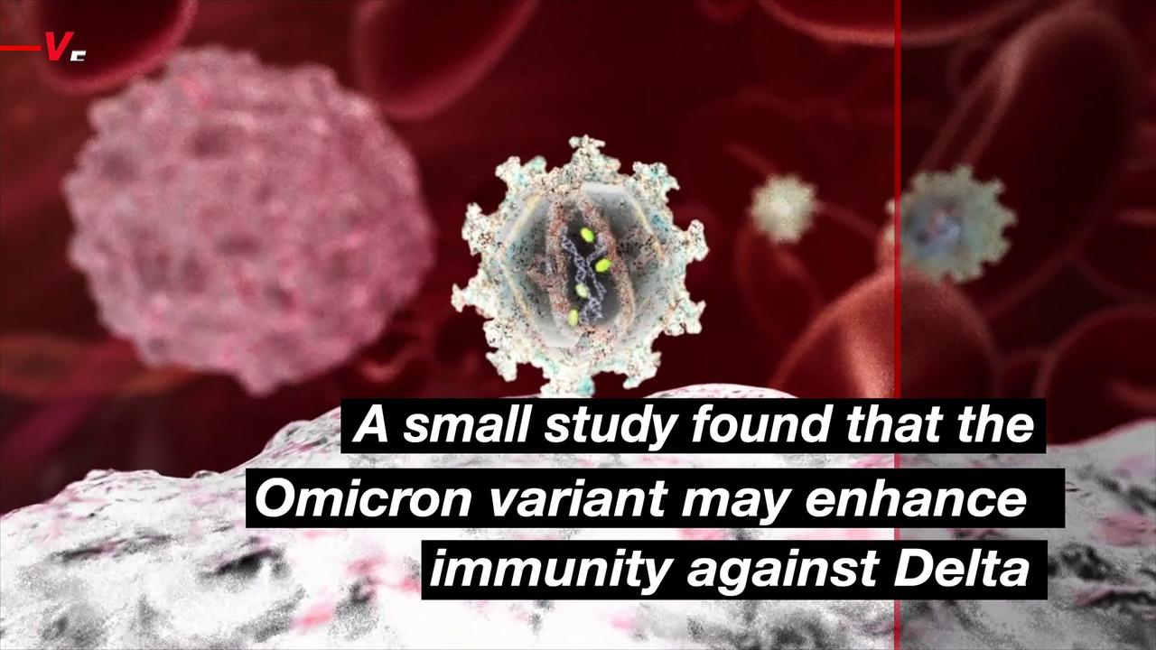 Small Study Finds That Omicron Variant May Build Immunity Against Delta