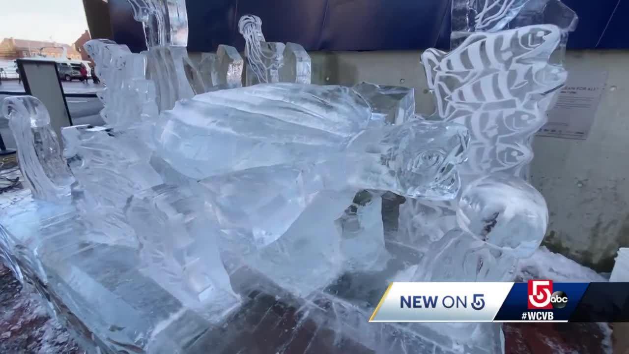 Leatherback sea turtle depicted in Boston New Year's ice sculpture