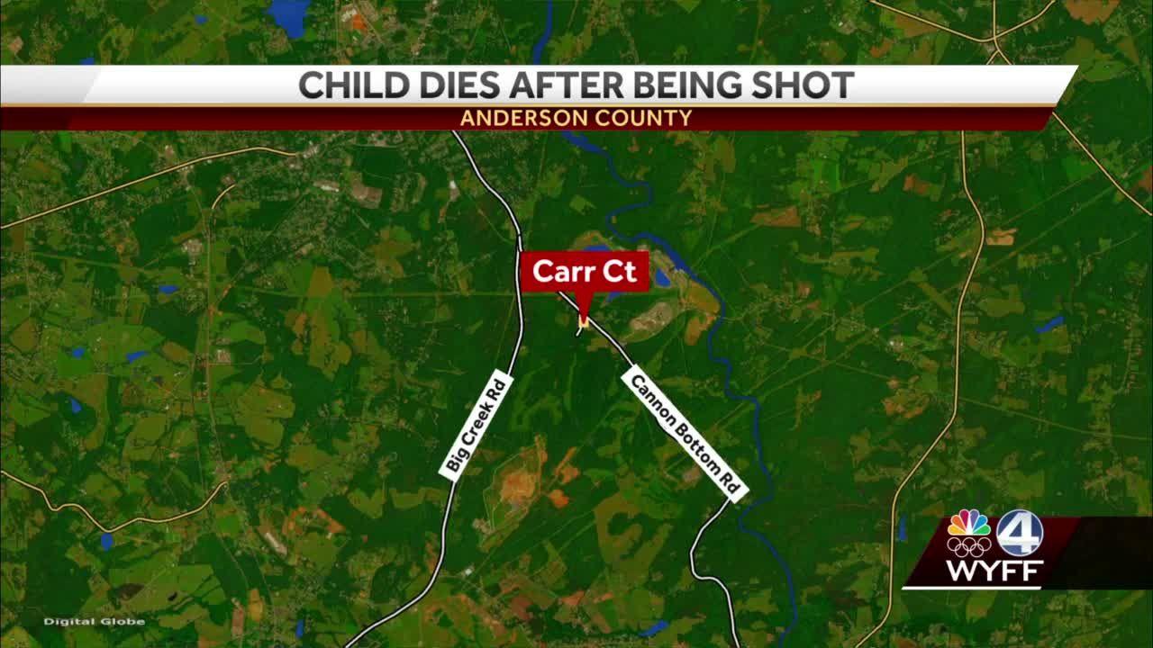 2 year old killed after being shot by BB gun