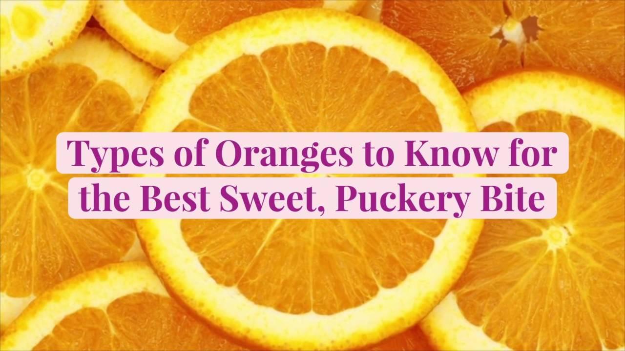 Types of Oranges to Know for the Best Sweet, Puckery Bite