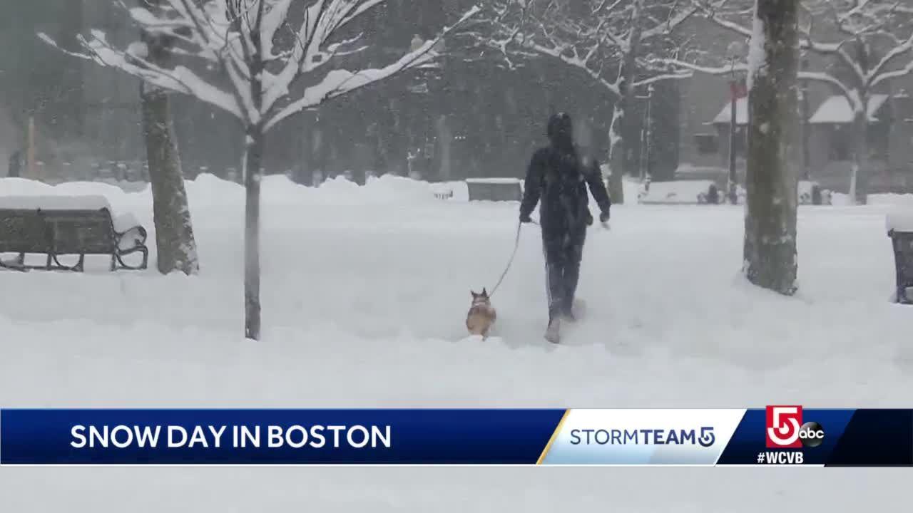 Bostonians enjoy first snowstorm of season