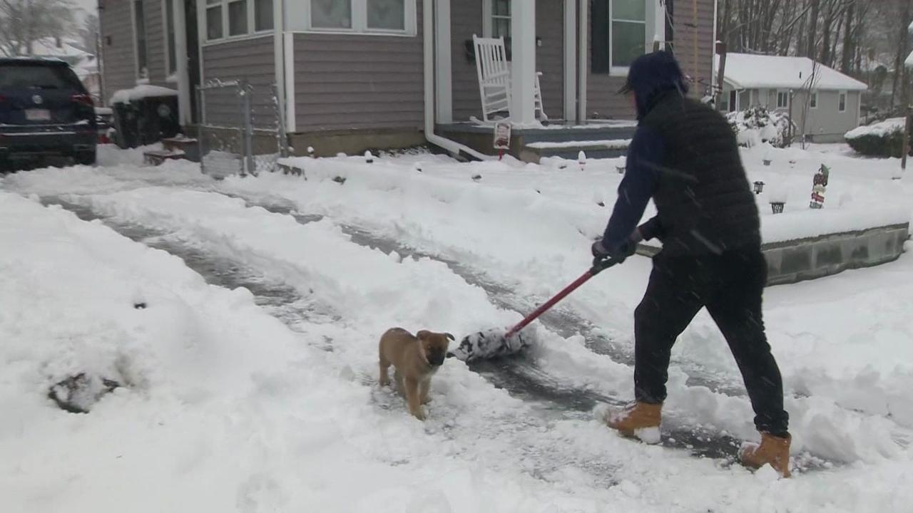 Work-from-home brings on new meaning after Massachusetts snowstorm