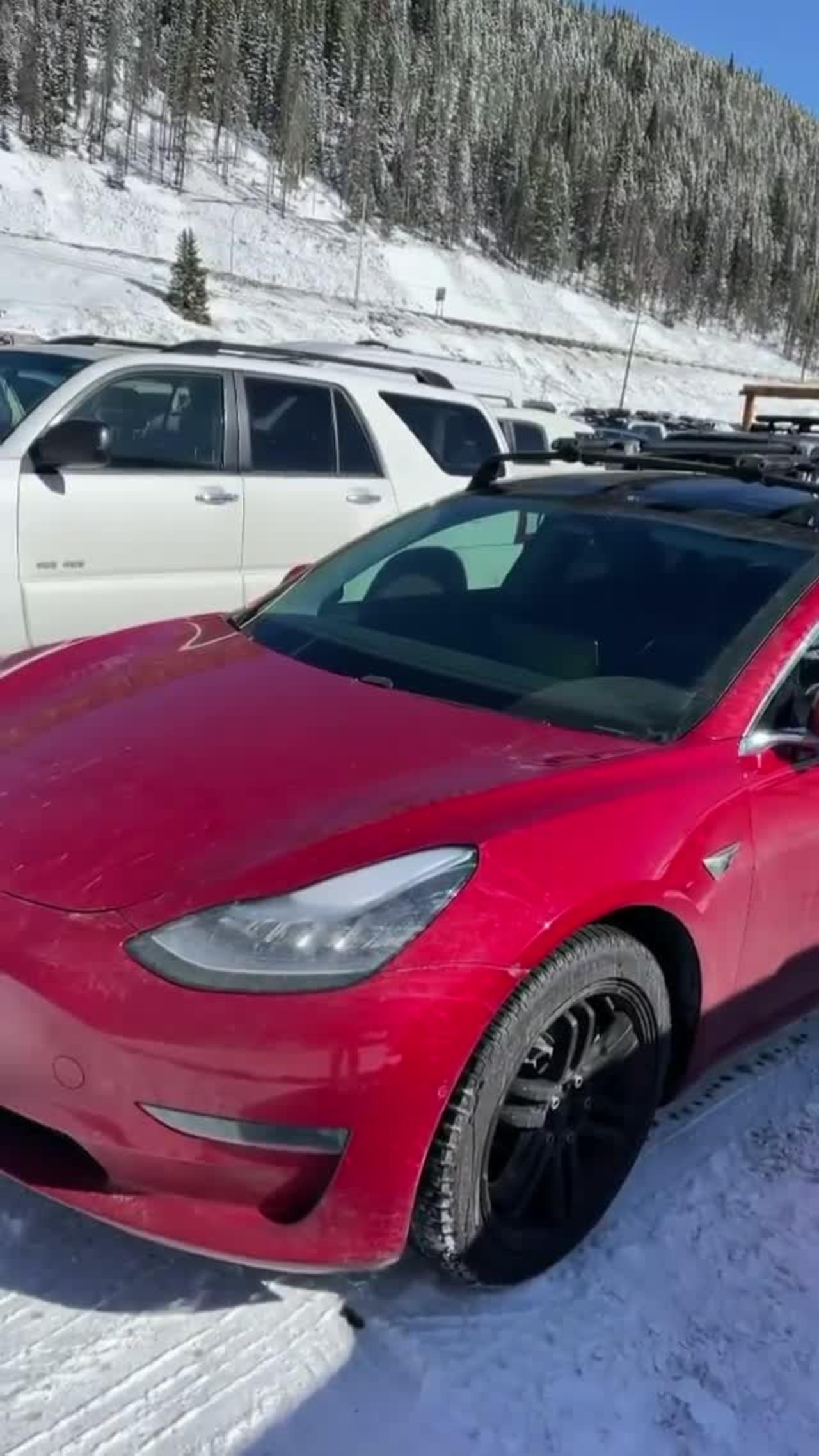 Tesla car short video luxury cars
