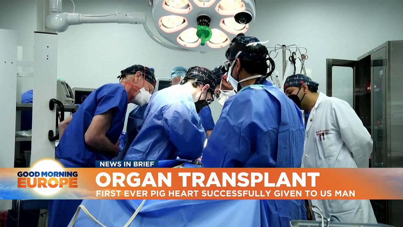 US surgeons transplant pig heart into human patient in medical first