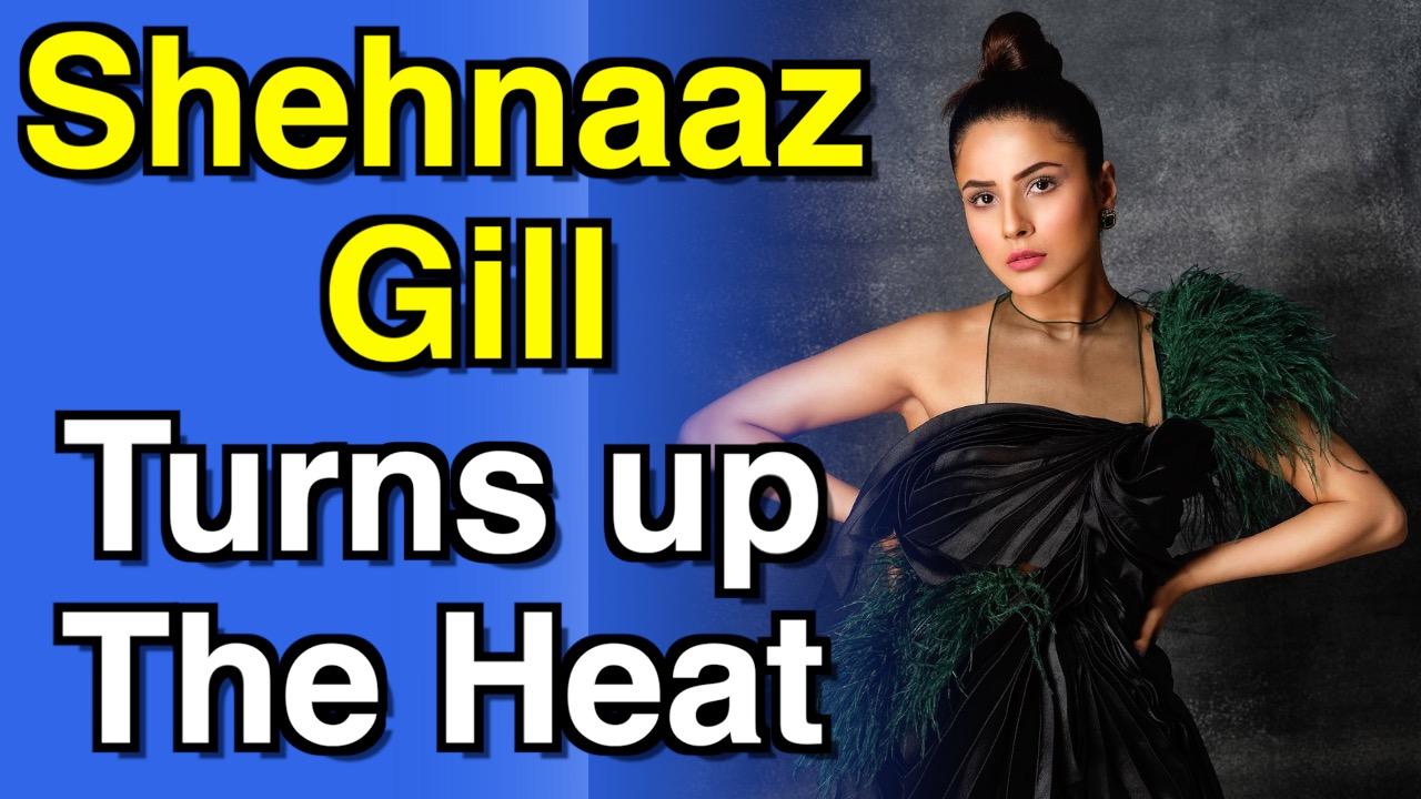 Shehnaaz Gill oozes glamour in latest photoshoot