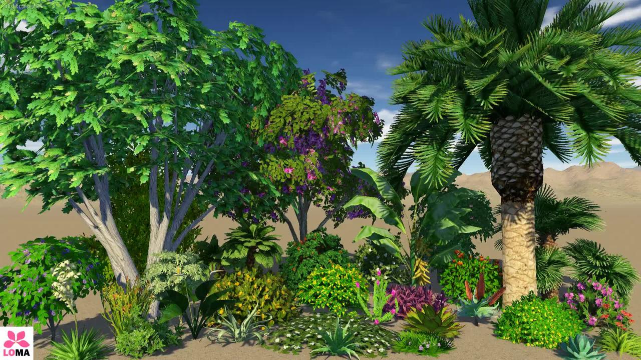 Tropical Landscape Theme
