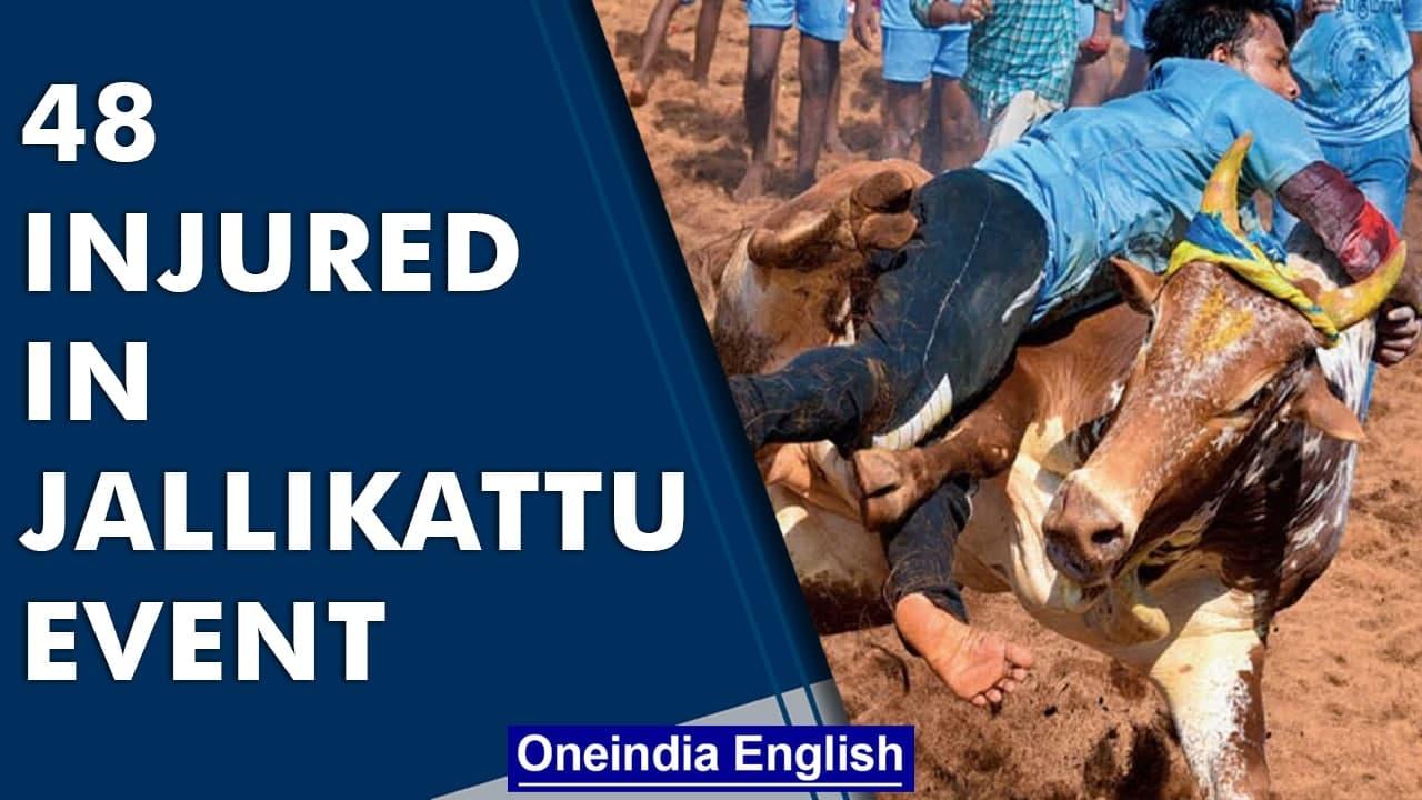 Jallikattu: 48 persons injured | Pongal festival | Bull taming: Watch | Oneindia News
