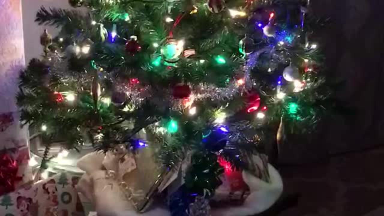 Glistening Christmas Tree