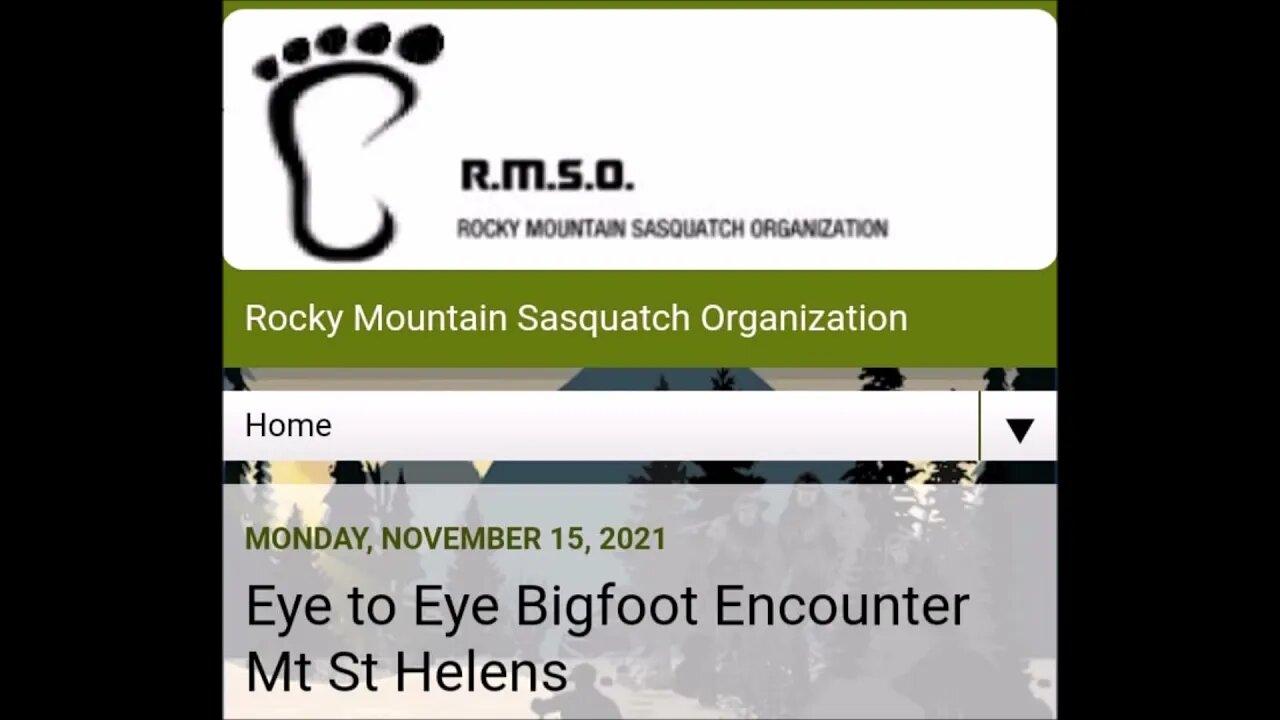 An Eye To Eye Bigfoot Encounter At Mt St Helens Paranormal News
