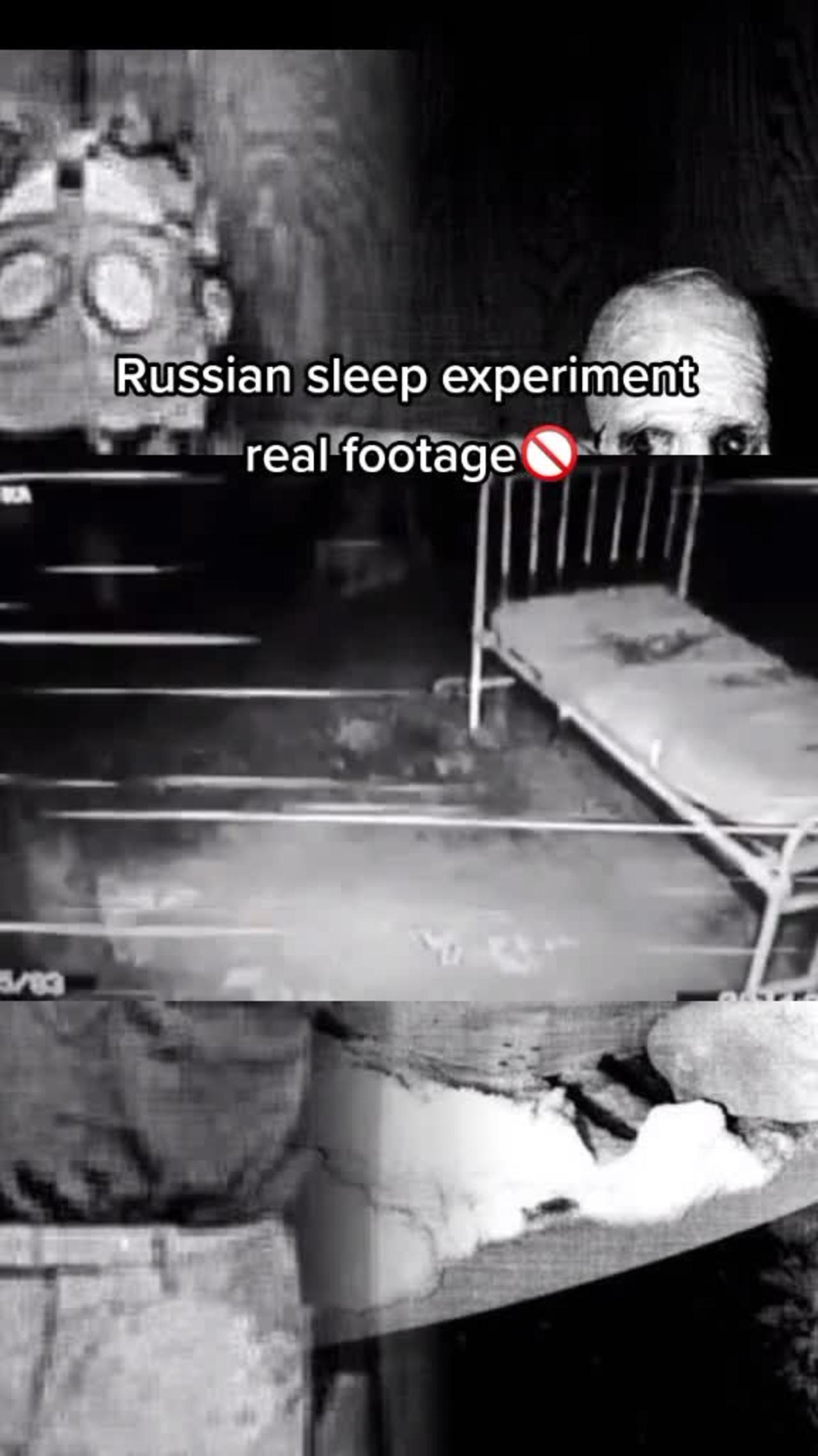 Russian Sleep Experiment Real Footage