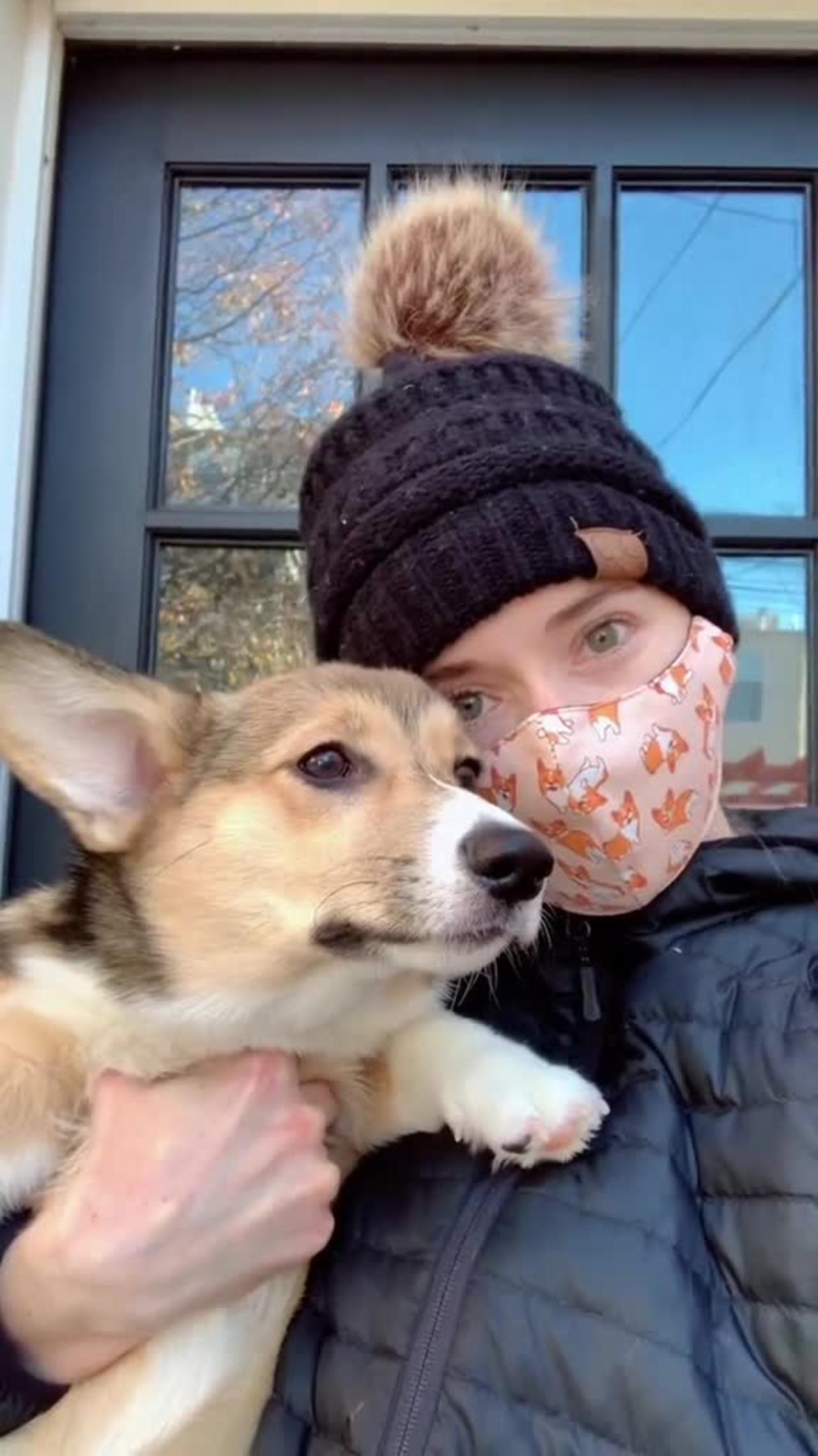 Wear a mask, but make it match your dog