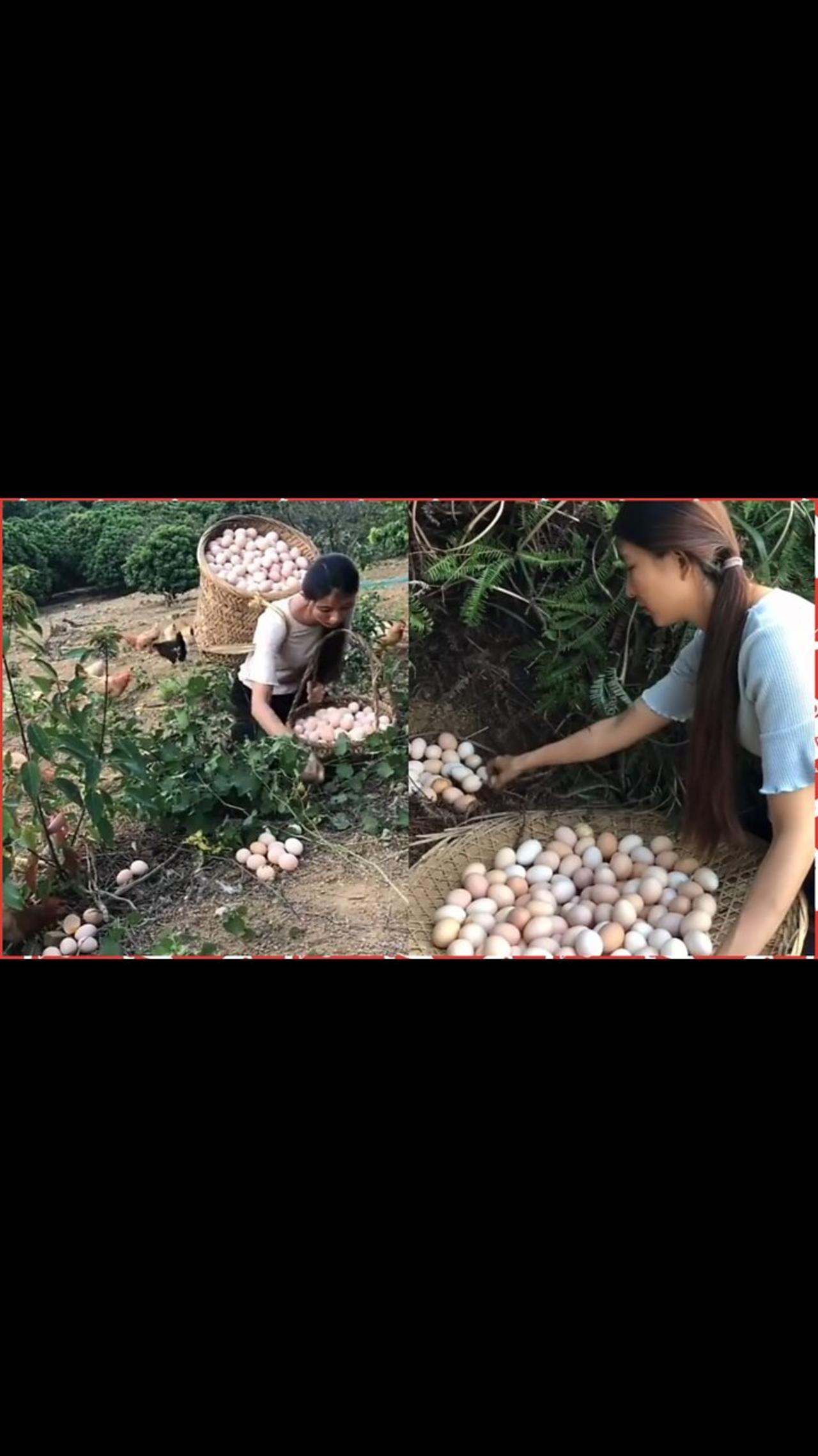 Beautiful woman works hard on her amazing chicken farm |  Mr