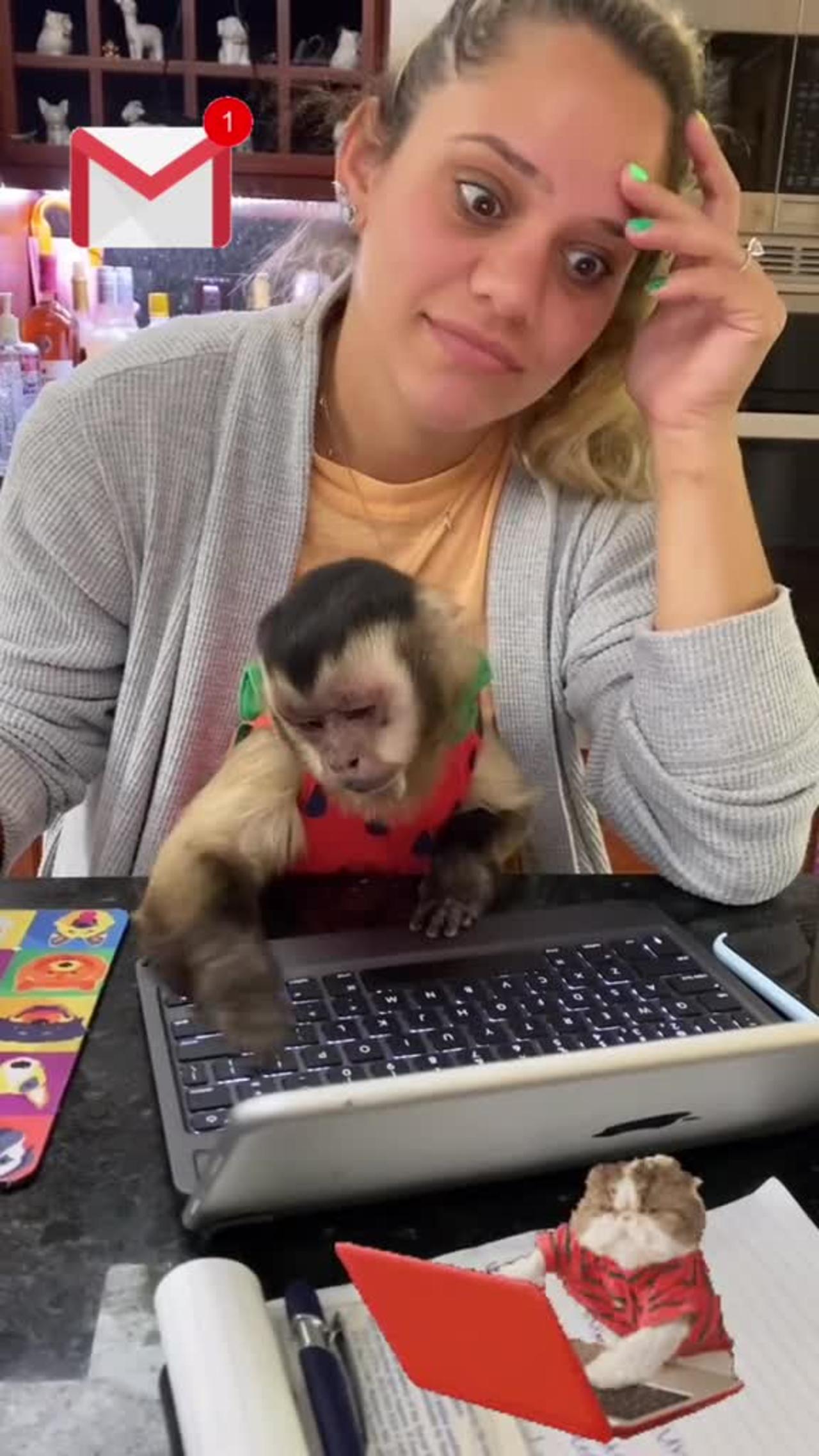 Monkey Angelika working hard 🤭😃