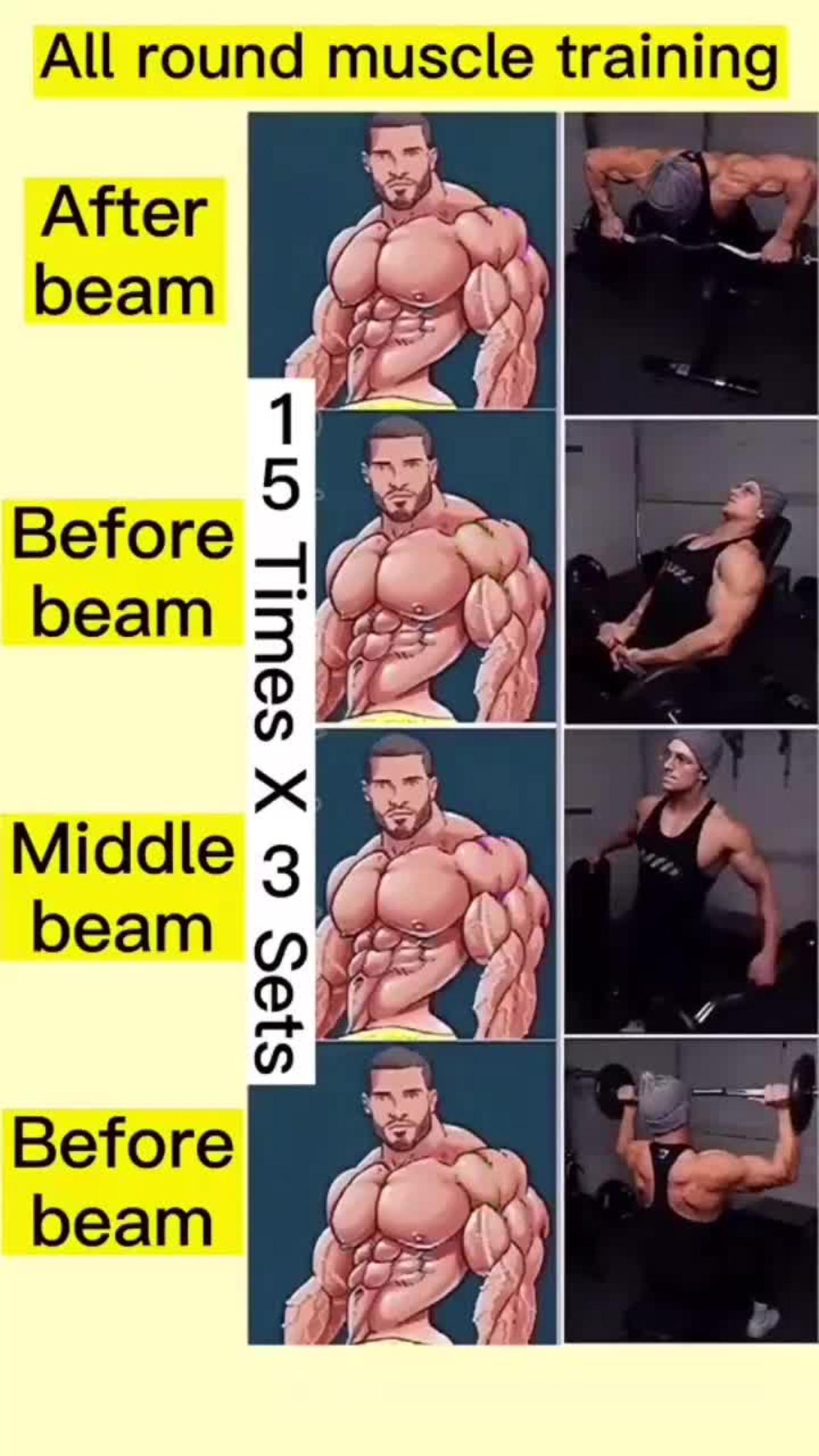 All Round Muscle Training
