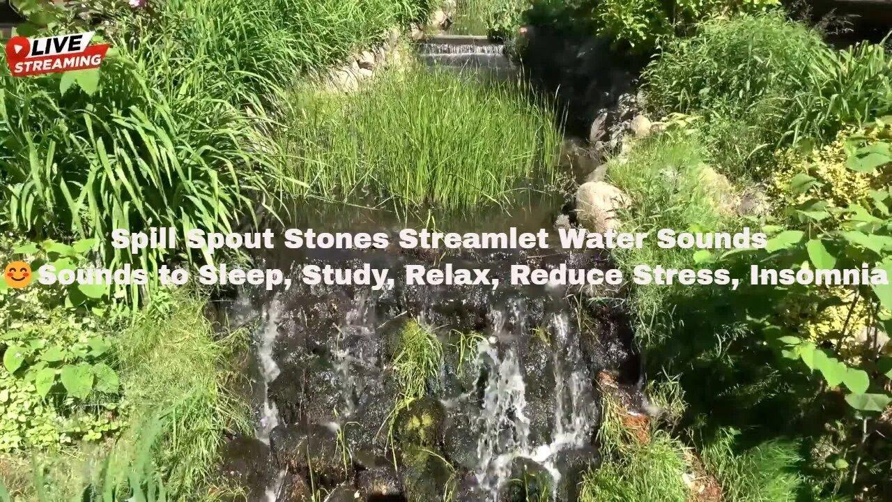 Spill Spout Stones Streamlet Water Sounds 😊Sounds to Sleep, Study, Relax, Reduce Stress, Insomnia