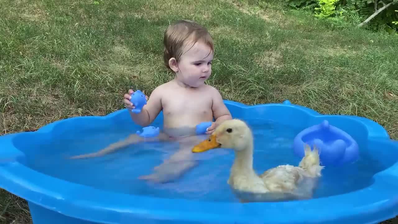 Funny Baby Reaction to Duckling in the Pool ❤️