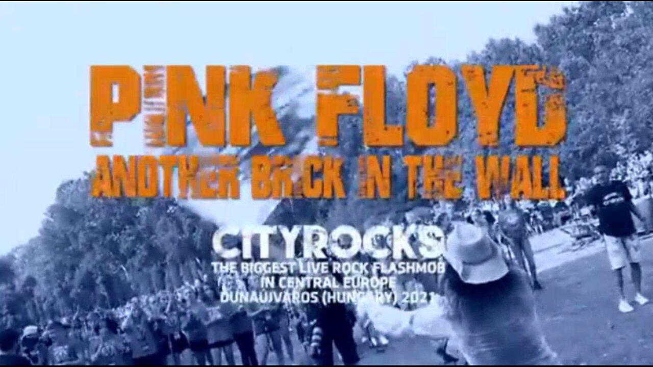 Pink Floyd - Kid Rock Flashmob - Operation Freedom!!!
