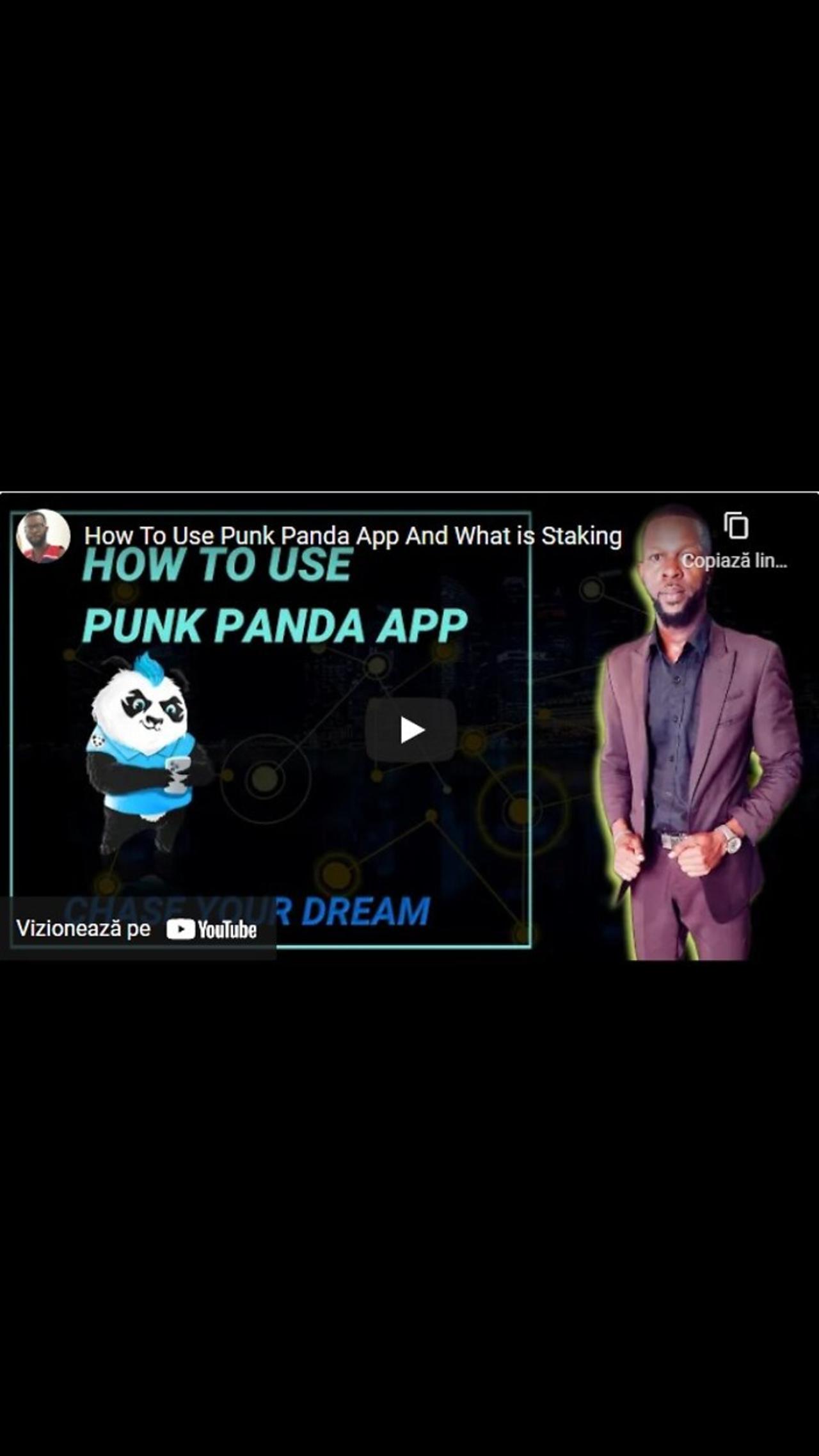 How To Use Punk Panda App And What is Staking