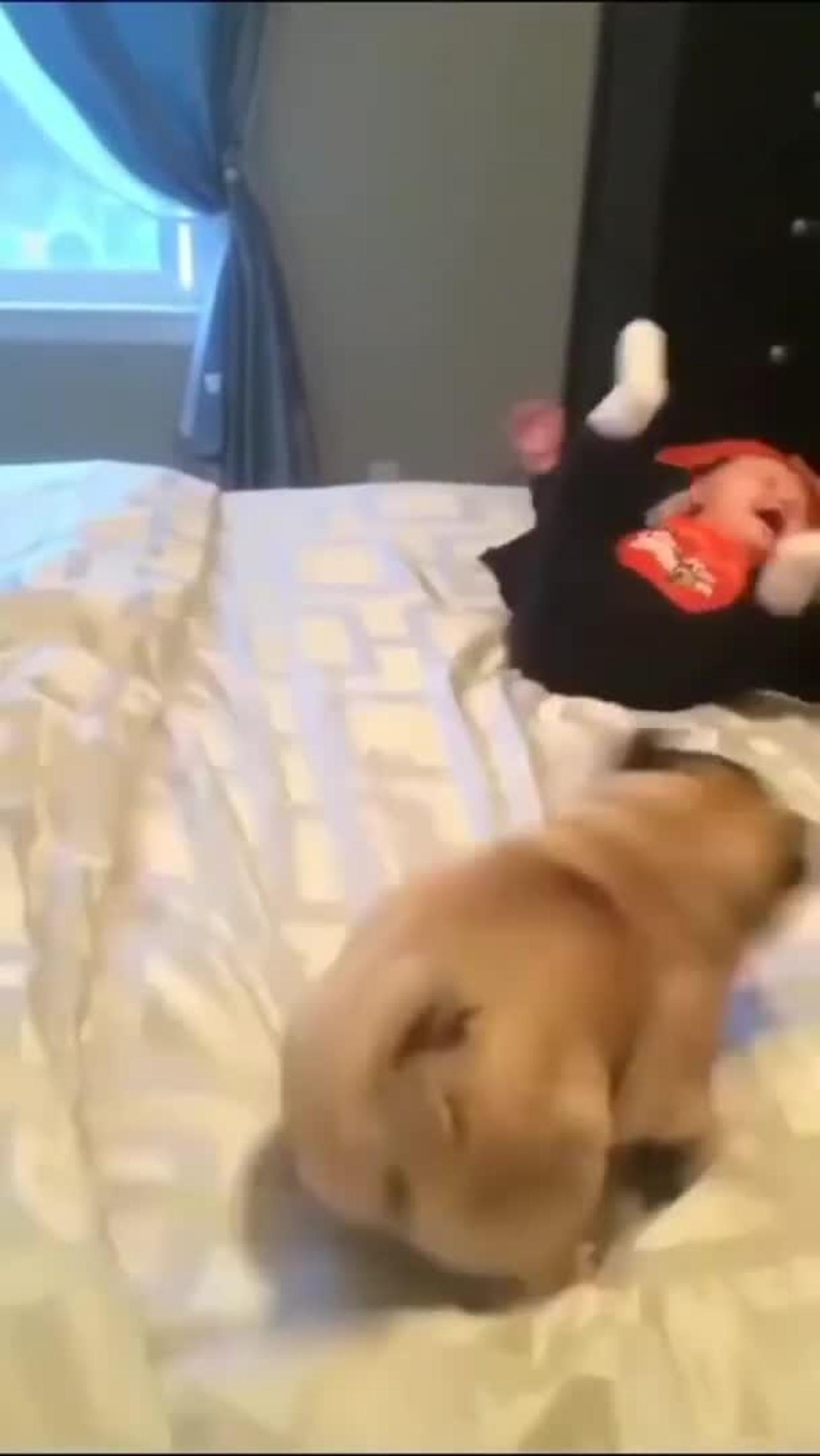 Baby doll  step by step dancing, enjoying with dog