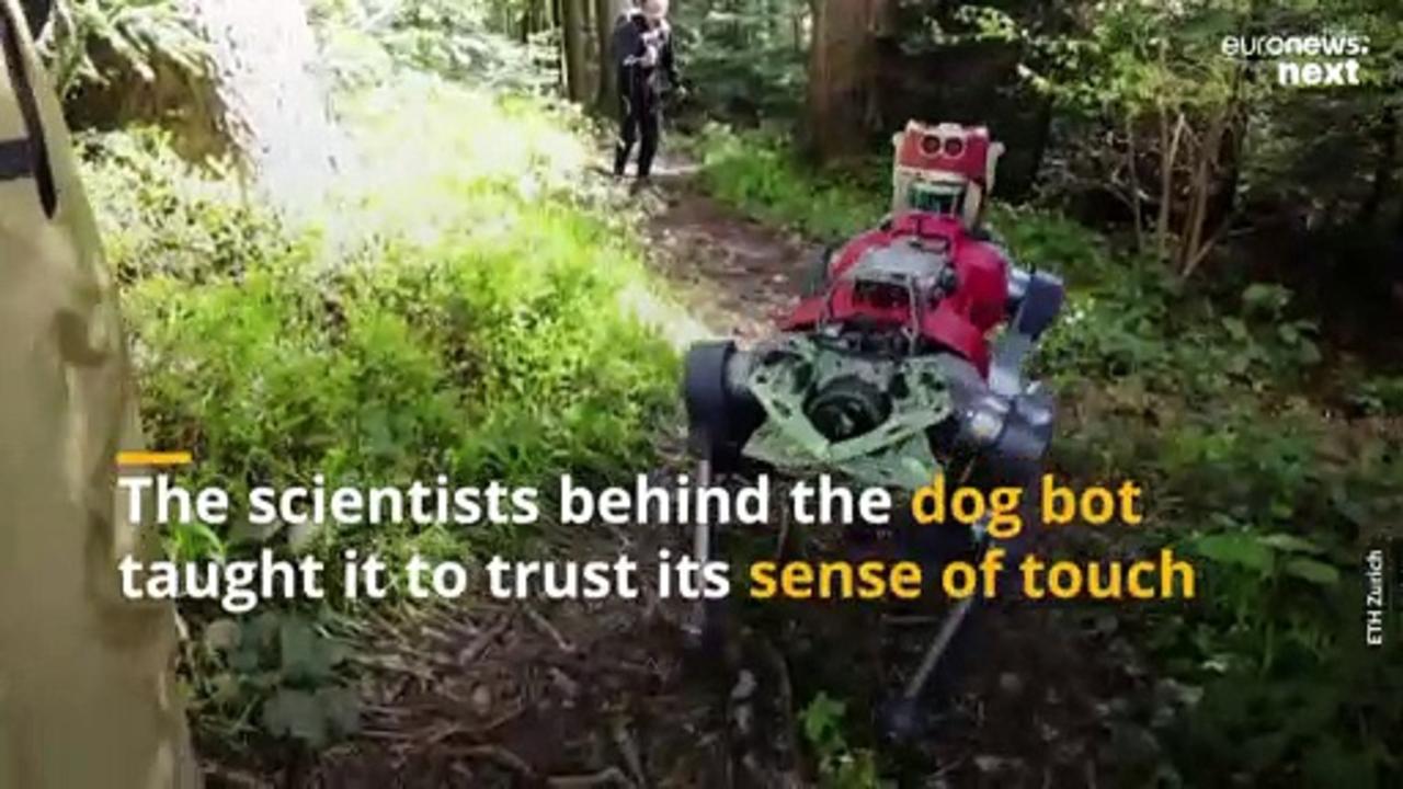 Robot dog that can hike peaks in the Swiss Alps unaided could be used on other planets