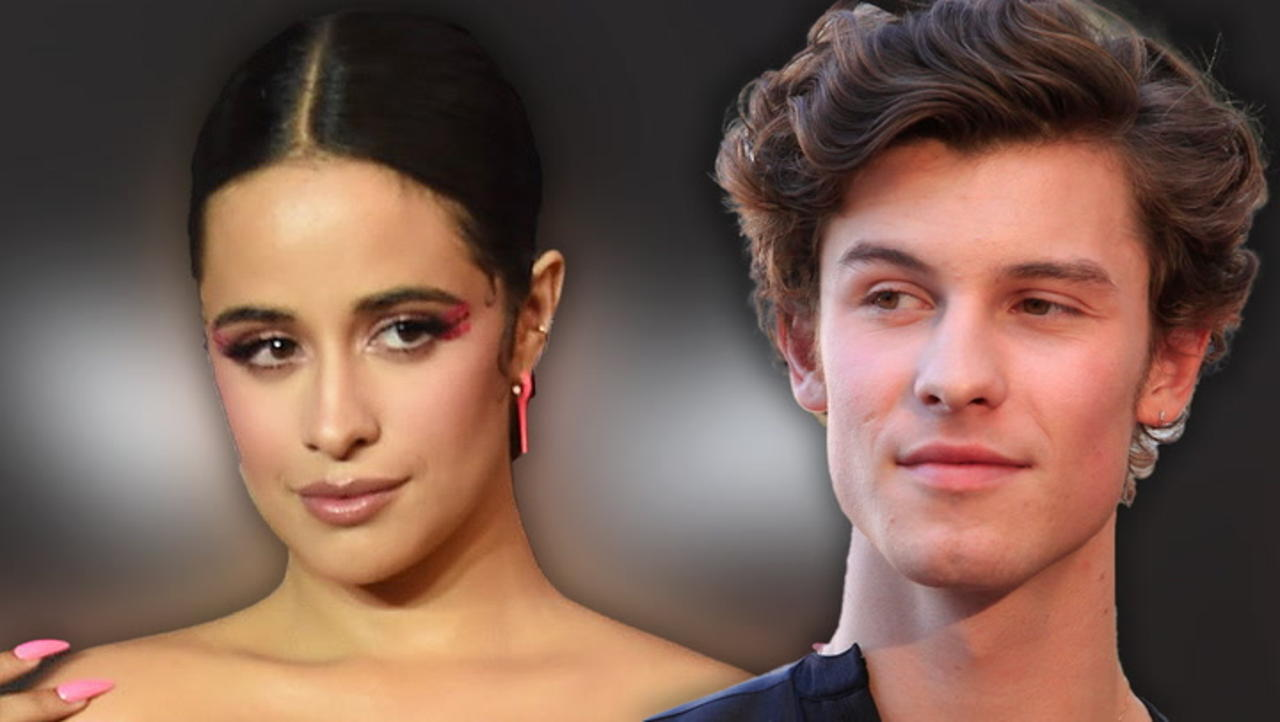 Camila Cabello Posts Flirty Message To Shawn Mendes After Miami Trip Together