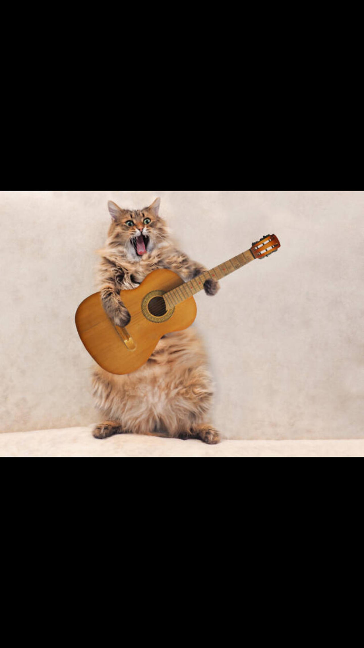 Cute Cat Singing Ah Aaaaa Aa | Cute Animal Videos