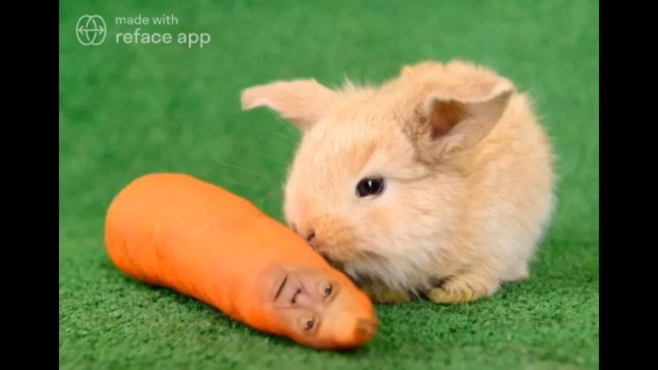 The Ultimate Donald Trump Baby Carrot Meme! 🥕