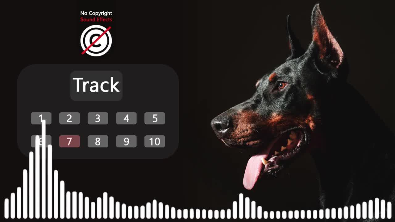 Dog Panting sound effect no copyright dog # panting noises # dog sounds # HQ
