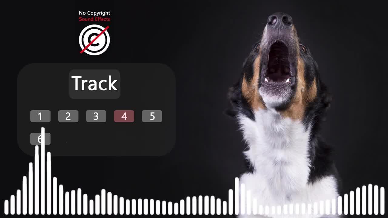 Dogs Howling sound effect no copyright # dog howl noises # dog sounds # HQ