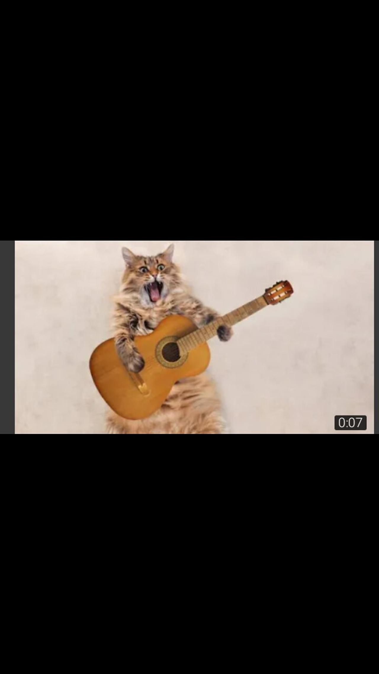 Cute Cat Singing Ah Aaaaa aa | Cute Animal Videos | Full Screen Whatsapp Status | #shorts