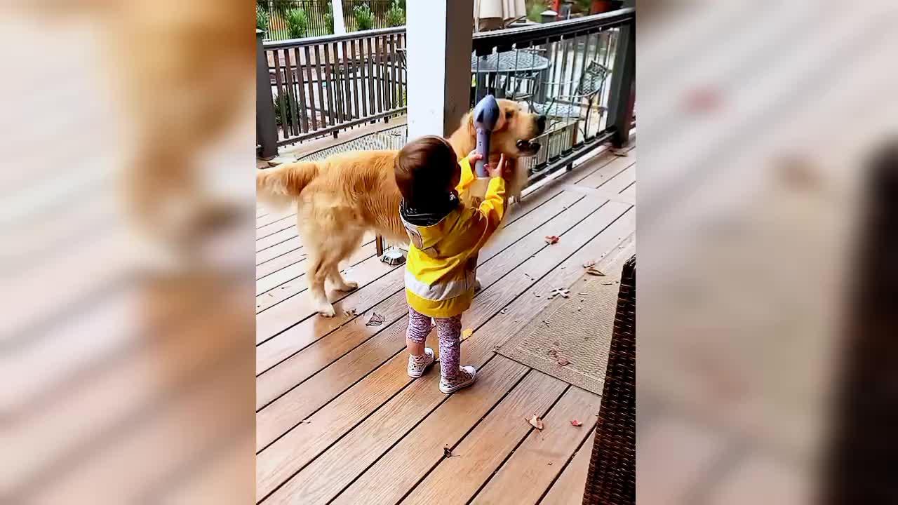 Adorable toddler playing with a dog 🐶...and his smile is so cute☺️