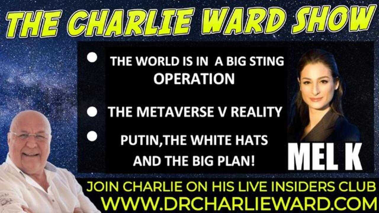 THE WORLD IS IN A BIG STING OPERATION, THE METAVERSE V REALITY WITH MEL K & CHARLIE WARD