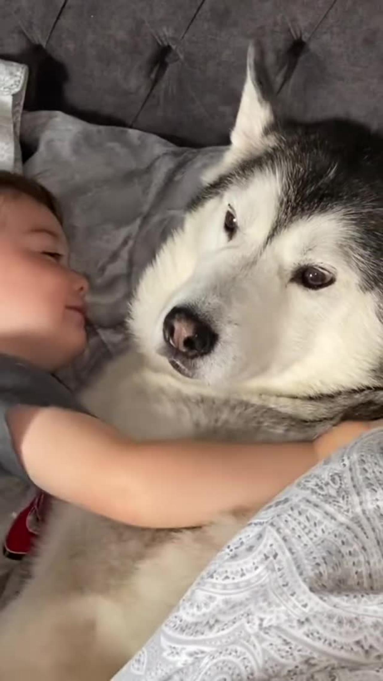 The Full 4 Year Story Of My Husky & Baby Becoming Best Friends and their relation