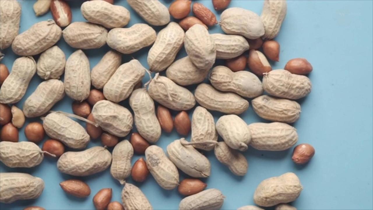 New Study Shows Peanut Allergy Treatment Works for Toddlers