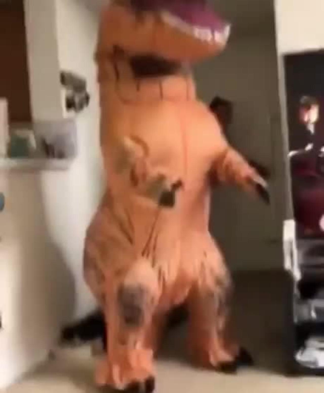Dog and trex suit