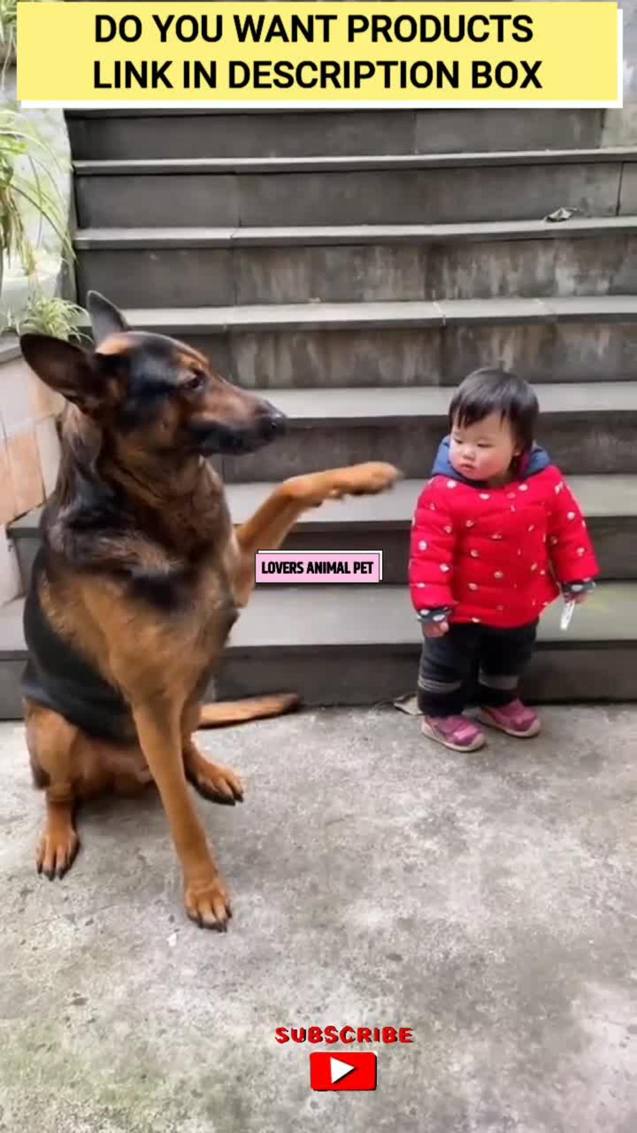 Funny Dog 🧚Cute Baby Magic Love